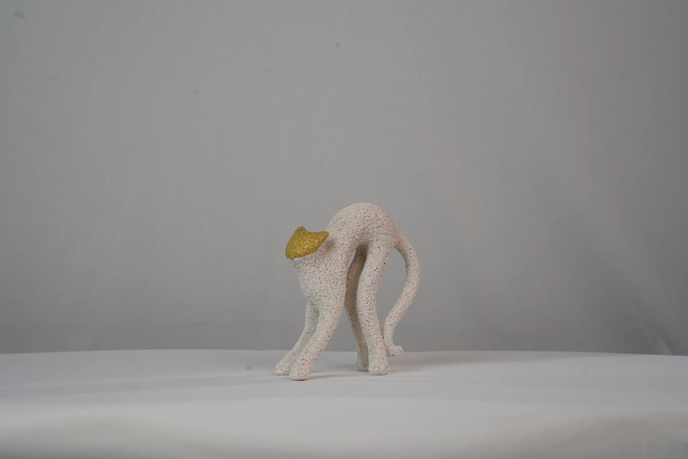 VAQ-008